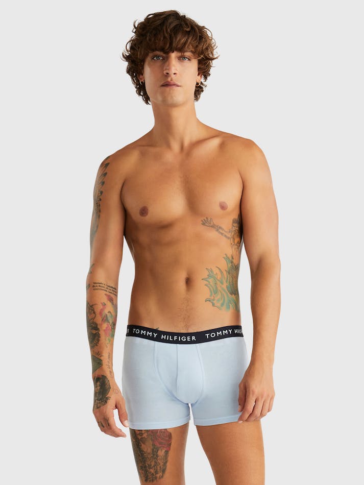 Tommy Hilfiger 3-Pack Logo Waistband Men's Underwear Blue / Blue | EsjRpqFVQWYu