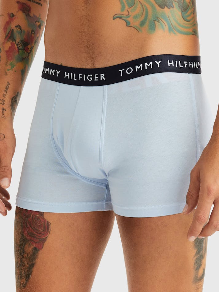 Tommy Hilfiger 3-Pack Logo Waistband Men's Underwear Blue / Blue | EsjRpqFVQWYu