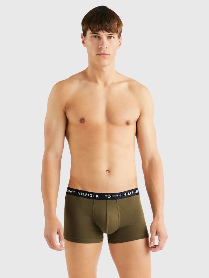 Tommy Hilfiger 3-Pack Logo Waistband Men's Underwear Multicolor | QuIwaJYTkPd2