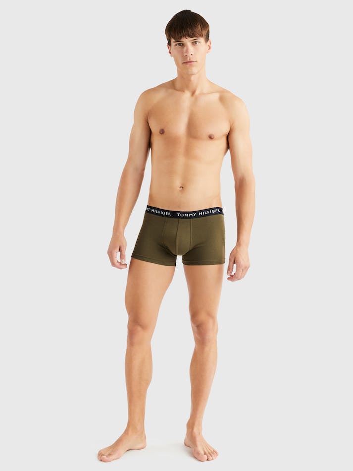 Tommy Hilfiger 3-Pack Logo Waistband Men's Underwear Multicolor | QuIwaJYTkPd2