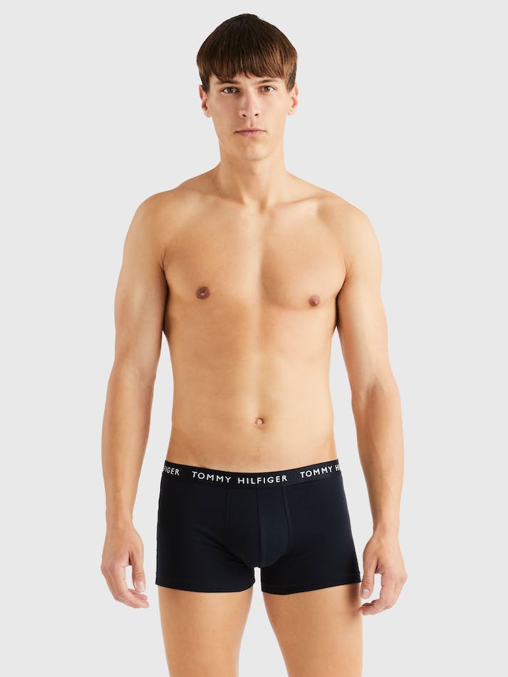 Tommy Hilfiger 3-Pack Logo Waistband Men's Underwear Multicolor | QuIwaJYTkPd2