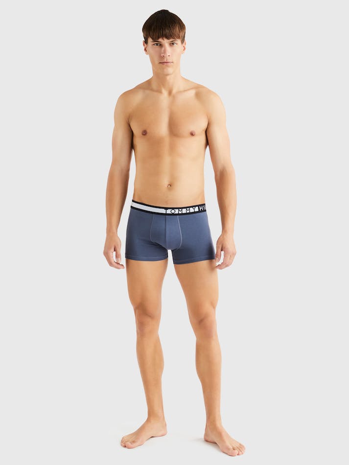 Tommy Hilfiger 3-Pack Logo Waistband Men's Underwear Dark Blue | VDNQCCDxG5uC