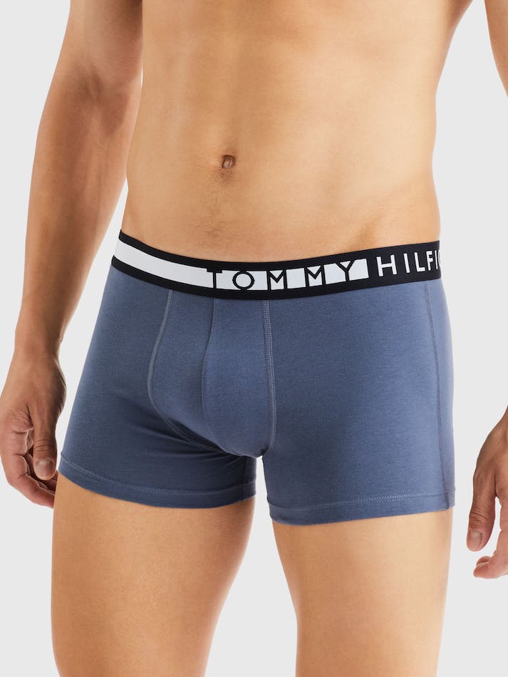 Tommy Hilfiger 3-Pack Logo Waistband Men's Underwear Dark Blue | VDNQCCDxG5uC