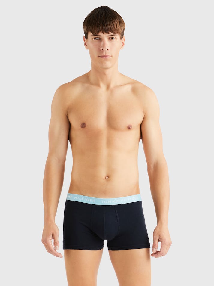 Tommy Hilfiger 5-Pack Waistband Men's Underwear Multicolor | oBTIToU5fKtn