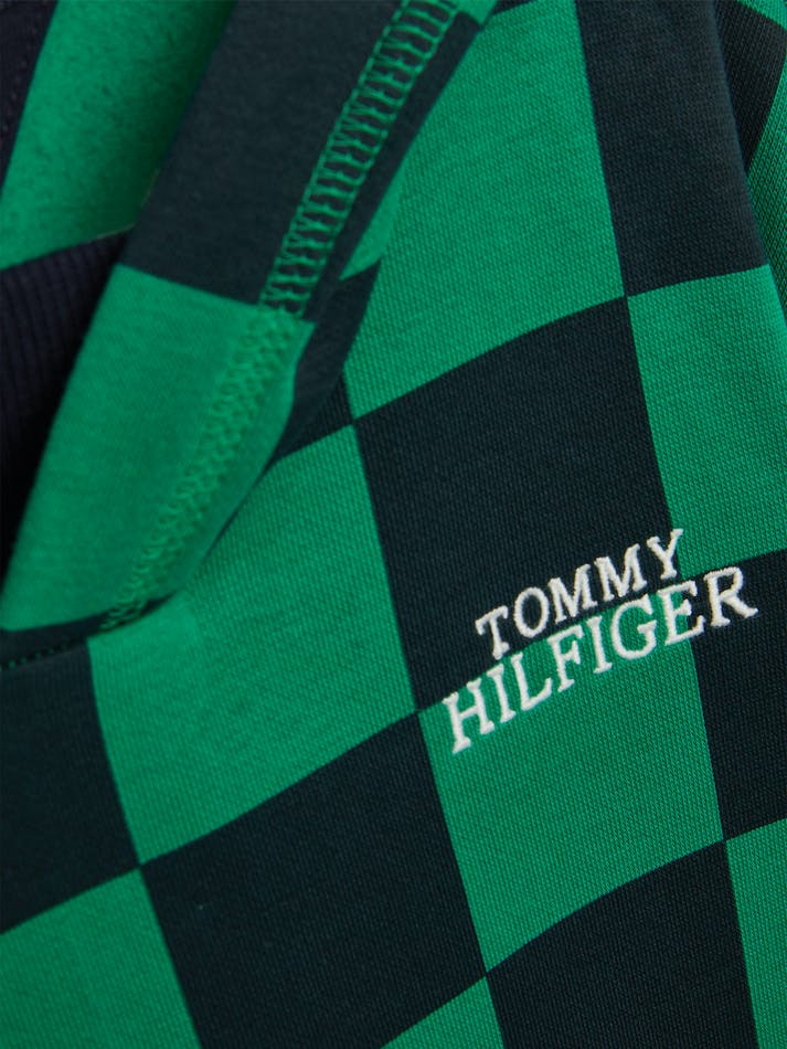 Tommy Hilfiger Boys 3-7 Checkerboard Kids' Hoodie Green | u0XYVtlLgL4u