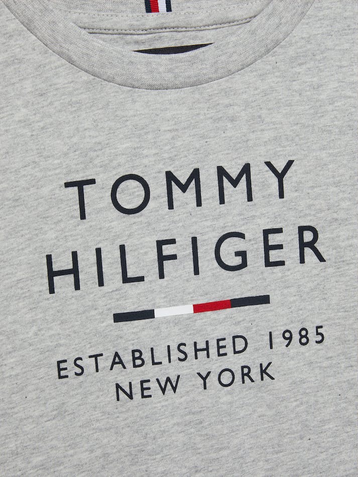 Tommy Hilfiger Boys 3-7 Logo Crew Neck Kids' T Shirts Light Grey | jgRpKlfJrziM