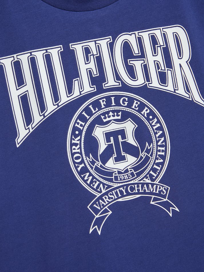 Tommy Hilfiger Boys 3-7 Logo Peached Jersey Kids' T Shirts Blue | vHtNhKIw5MCu