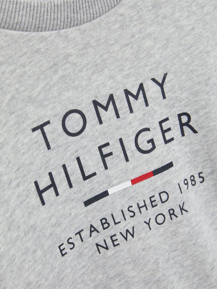 Tommy Hilfiger Boys 8-16 Logo Crew Neck Kids' Sweatshirt Light Grey | pAVzEvPW7pKa