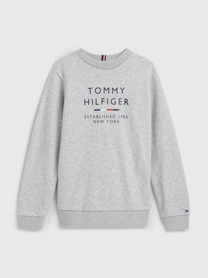 Tommy Hilfiger Boys 8-16 Logo Crew Neck Kids\' Sweatshirt Light Grey | pAVzEvPW7pKa