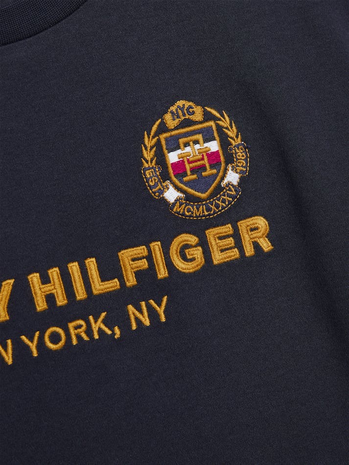 Tommy Hilfiger Boys 8-16 Logo Embroidery Crew Neck Kids' T Shirts Blue | GyMrYUQBVWp0