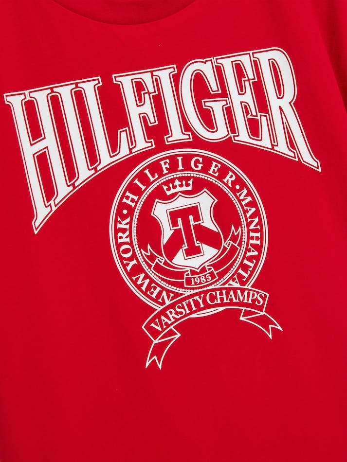 Tommy Hilfiger Boys 8-16 Logo Peached Jersey Kids' T Shirts Deep Red | AA4W77s8XxYB