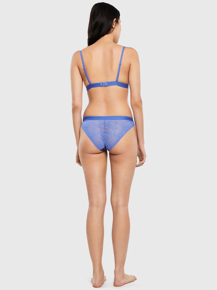 Tommy Hilfiger Curve Lace Print Women's Lingerie Blue | 3pxzImInBTKR