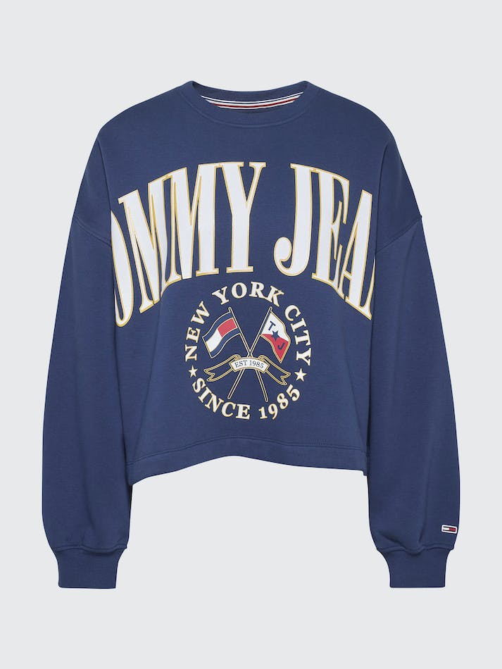 Tommy Jeans Curve Modern Relaxed Women's Sweatshirt Navy | f6QEWSfufTyo