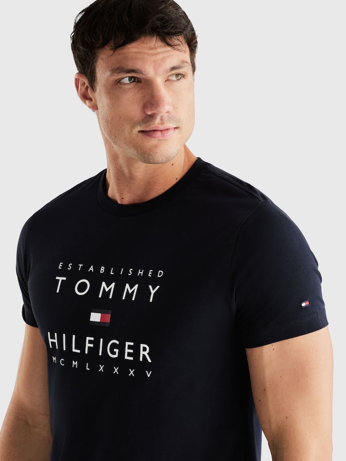 Tommy Hilfiger Established Stacked Men's T Shirts Blue | LyRDiB5TWI8j