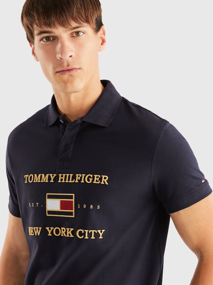 Tommy Hilfiger Icon Men's Polo Shirts Blue | ED8KblLBeCHq