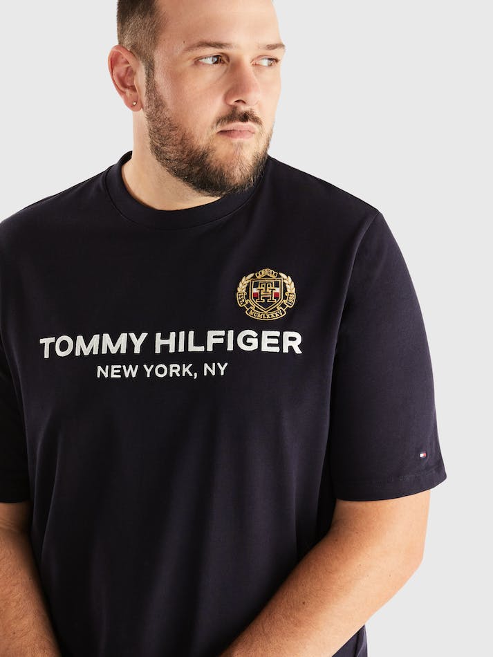 Tommy Hilfiger Icon Stack Crest Men's T Shirts Blue | QyovCneYEDOk