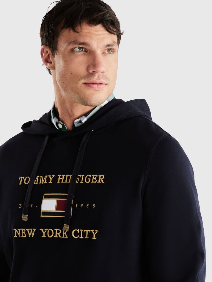 Tommy Hilfiger Icons Terry Men's Hoodie Blue | Nz3lXw3DMBDy