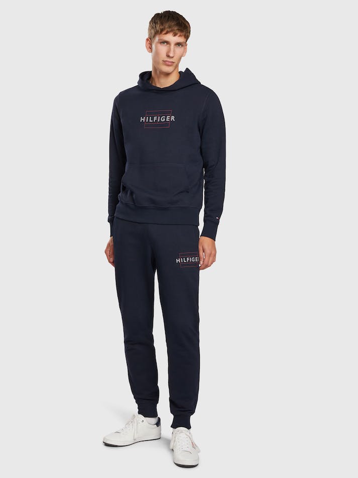 Tommy Hilfiger Linear Flag Men's Hoodie Blue | VziWerIJTWvC