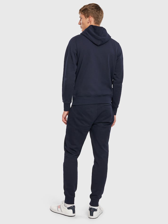 Tommy Hilfiger Linear Flag Men's Hoodie Blue | VziWerIJTWvC