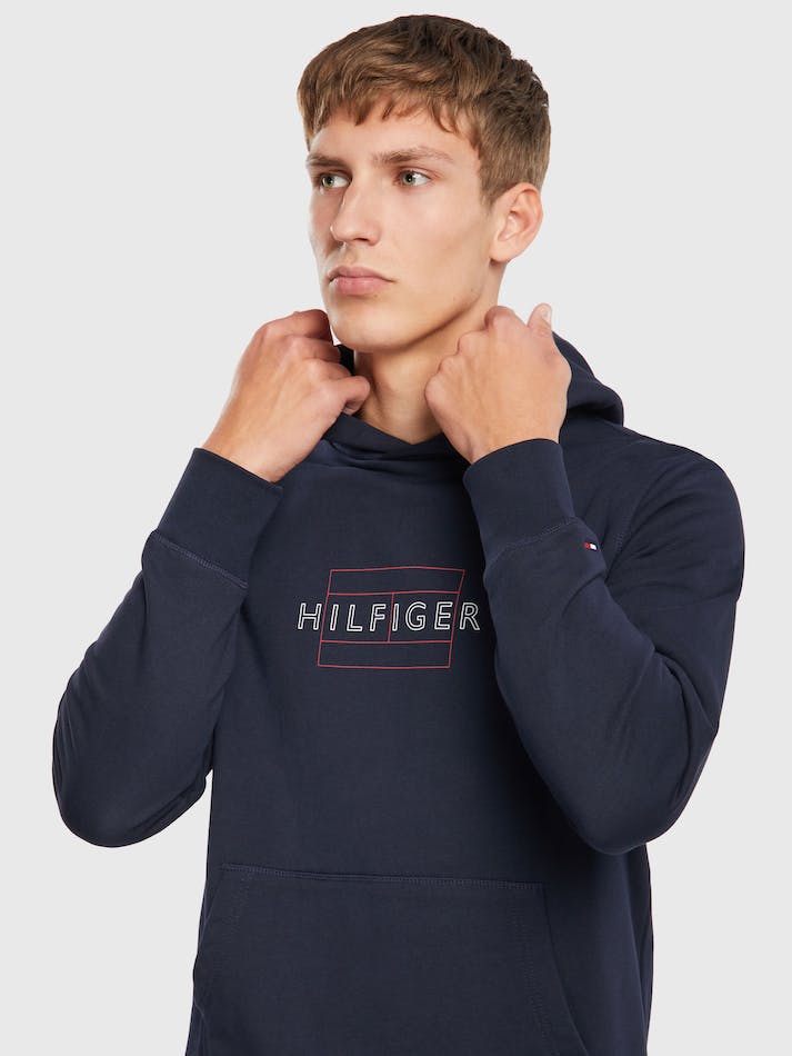 Tommy Hilfiger Linear Flag Men's Hoodie Blue | VziWerIJTWvC