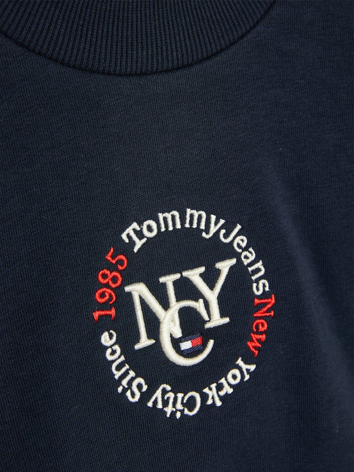 Tommy Hilfiger NYC Logo Embroidery Kids' Sweatshirt Blue | 4s6Q06PRXAln