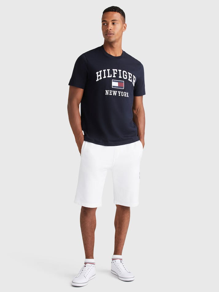 Tommy Hilfiger Outline Men's T Shirts Blue | 9nrWpVsxAXHy