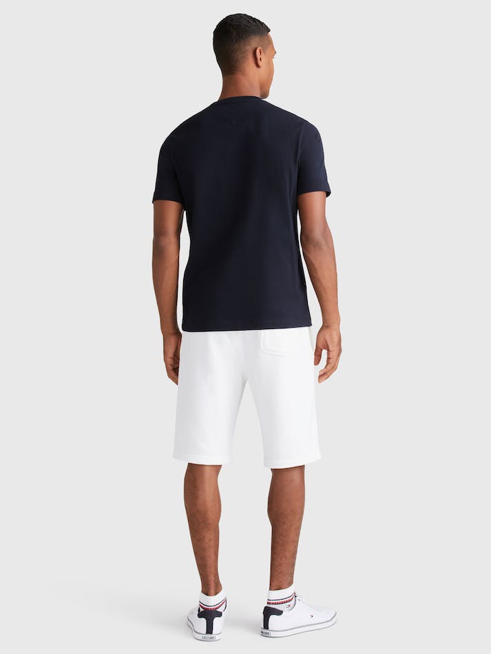 Tommy Hilfiger Outline Men's T Shirts Blue | 9nrWpVsxAXHy