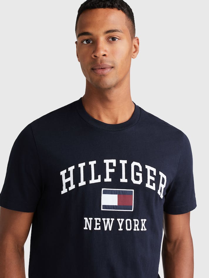 Tommy Hilfiger Outline Men's T Shirts Blue | 9nrWpVsxAXHy