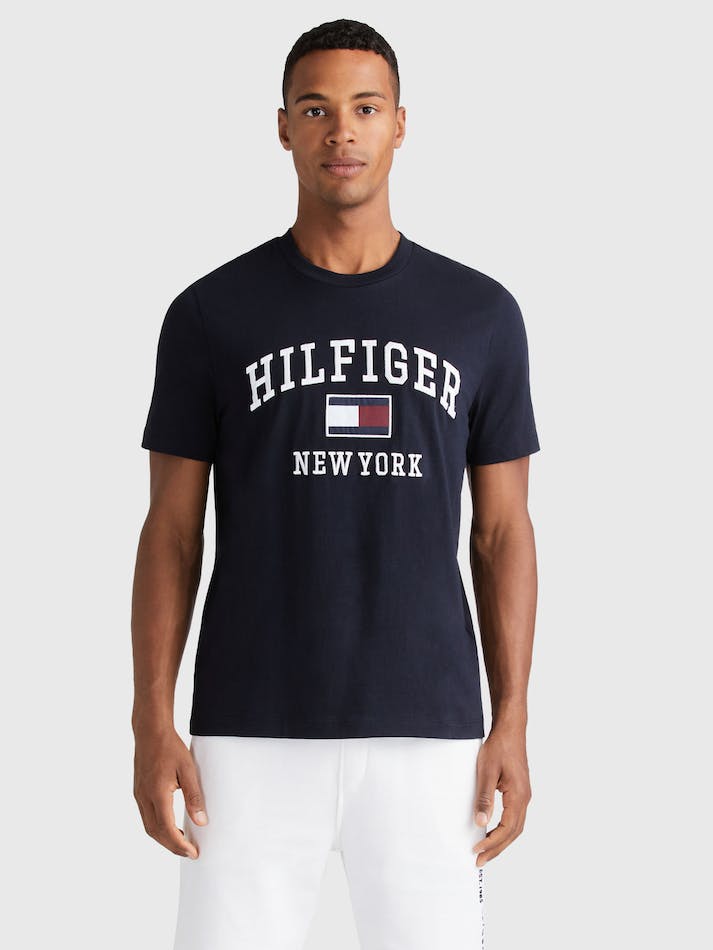 Tommy Hilfiger Outline Men\'s T Shirts Blue | 9nrWpVsxAXHy