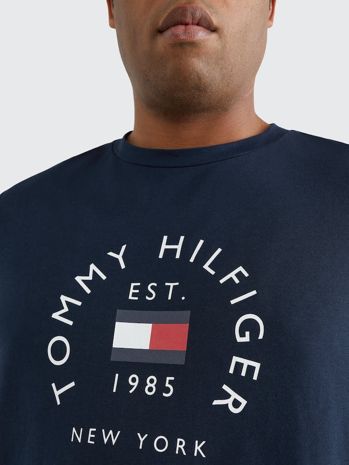 Tommy Hilfiger Plus Hilfiger Flag Slim Men's T Shirts Blue | QJ67TqUliNWL