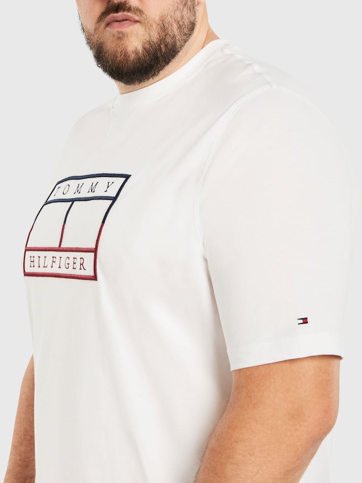 Tommy Hilfiger Plus Linear Flag Embroidery Men's T Shirts White | uW6aZzXiGRgf