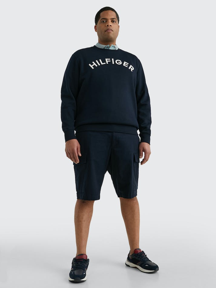 Tommy Hilfiger Plus Logo Embroidery Archive Fit Men's Sweatshirt Blue | HmROla6ifJie