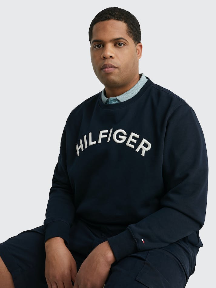 Tommy Hilfiger Plus Logo Embroidery Archive Fit Men's Sweatshirt Blue | HmROla6ifJie