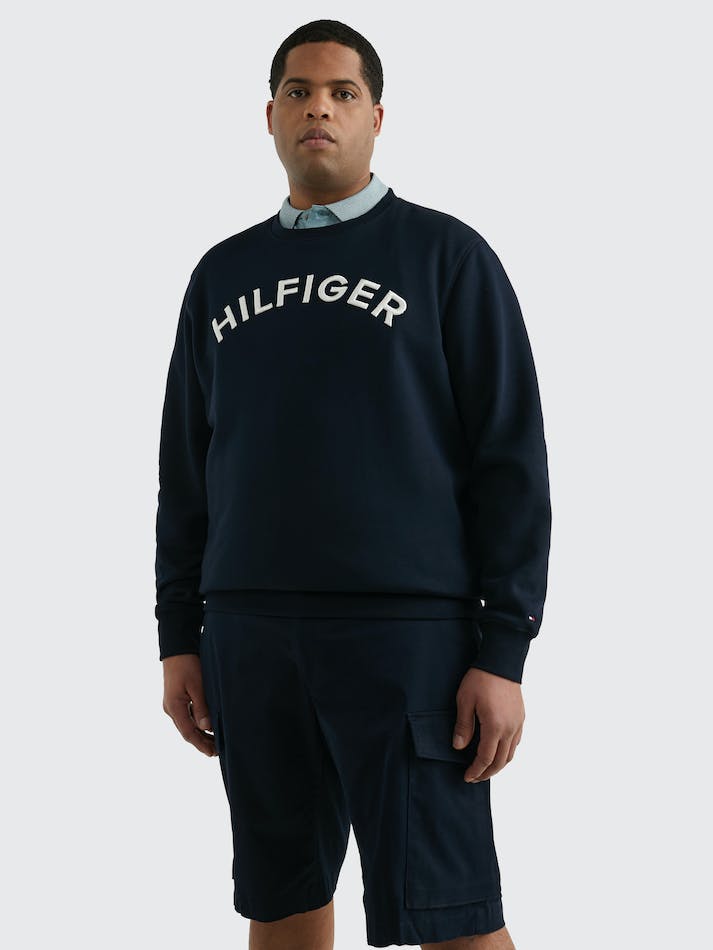 Tommy Hilfiger Plus Logo Embroidery Archive Fit Men\'s Sweatshirt Blue | HmROla6ifJie