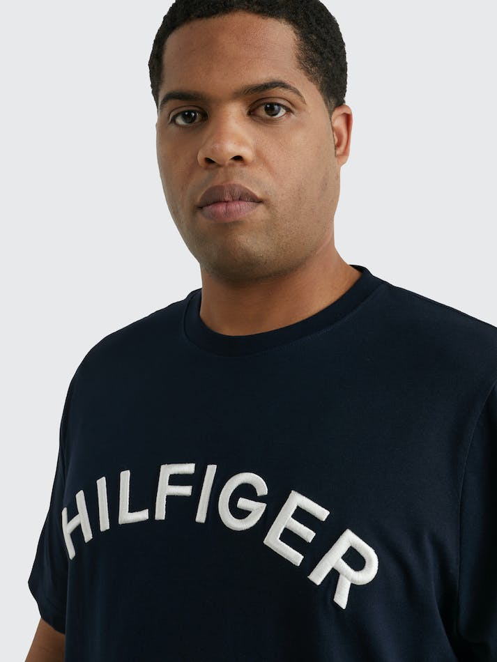 Tommy Hilfiger Plus Logo Embroidery Men's T Shirts Blue | 62sGNxqfaorq