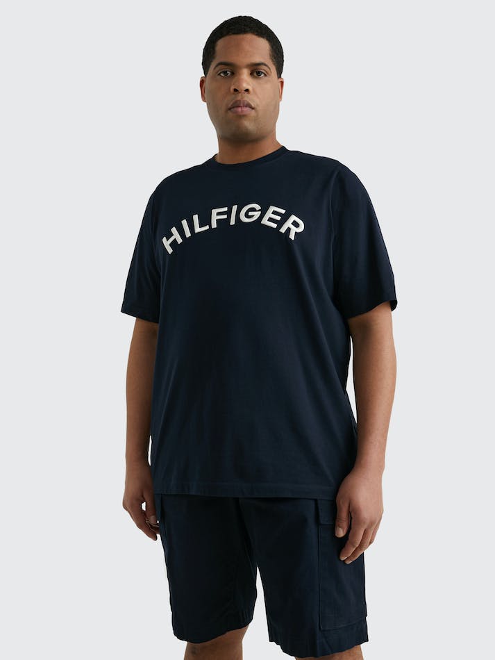 Tommy Hilfiger Plus Logo Embroidery Men\'s T Shirts Blue | 62sGNxqfaorq