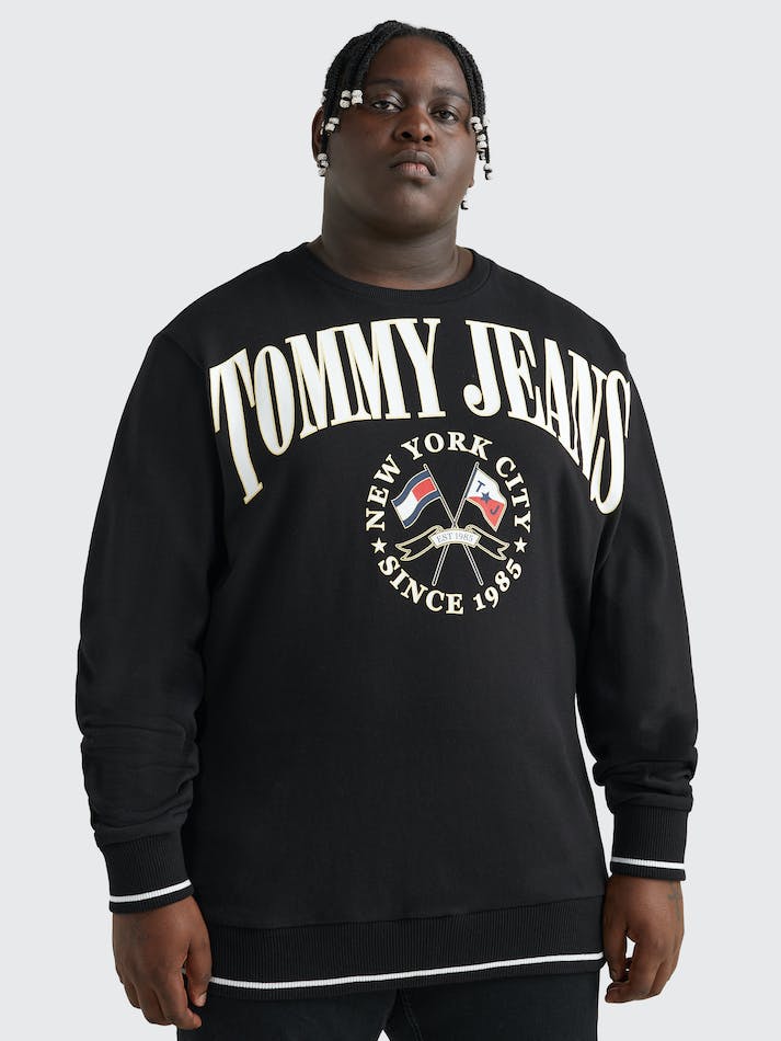 Tommy Jeans Plus Logo Skater Men's Sweatshirt Black | OD78GSBWhPuu