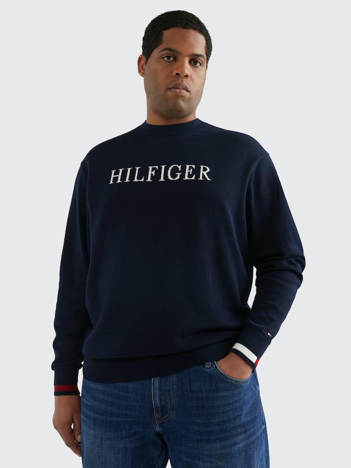 Tommy Hilfiger Plus Stripe Cuff Logo Men's Jumpers Blue | O8LSLoeNxIFo