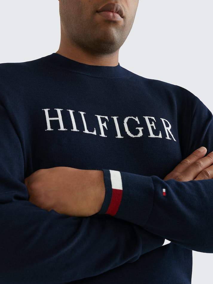 Tommy Hilfiger Plus Stripe Cuff Logo Men's Jumpers Blue | O8LSLoeNxIFo