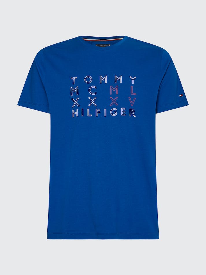 Tommy Hilfiger Signature Text Logo Men's T Shirts Blue | FDfSuHYftrAL