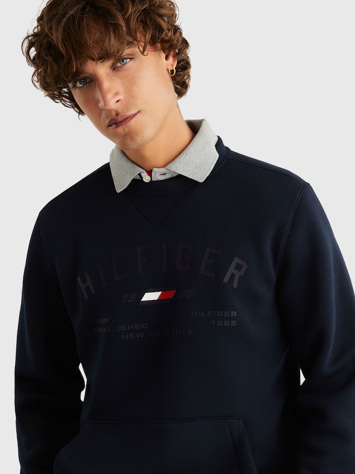 Tommy Hilfiger Sport Graphic Print Crew Neck Men's Sweatshirt Blue | kQrGvDVPacSt