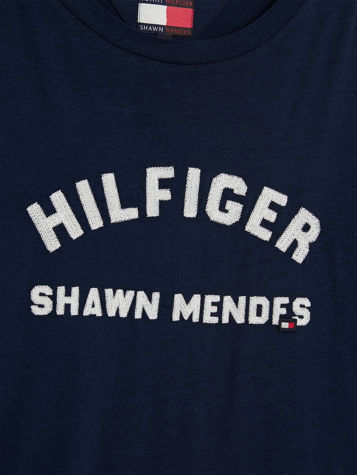 Tommy Hilfiger x Shawn Mendes Archive Fit Men's T Shirts Dark Grey Navy | tYohDIw8ztKW