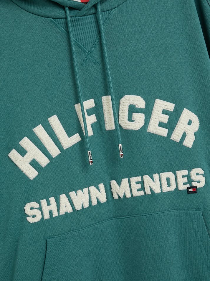 Tommy Hilfiger x Shawn Mendes Logo Men's Hoodie Green | 0JLC7wGx8VIa