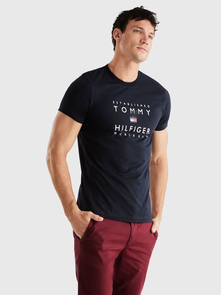 Tommy Hilfiger Established Stacked Men's T Shirts Blue | LyRDiB5TWI8j