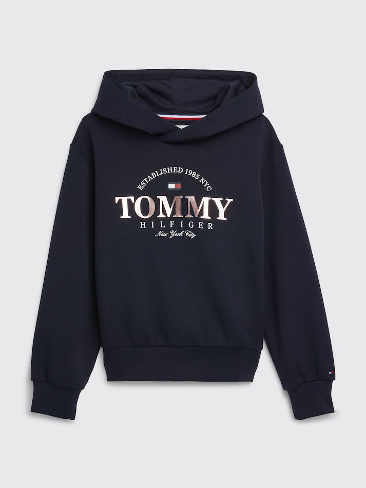 Tommy Hilfiger Girls 8-16 Metallic Logo Kids' Hoodie Blue | BHXzuqkfEXuv