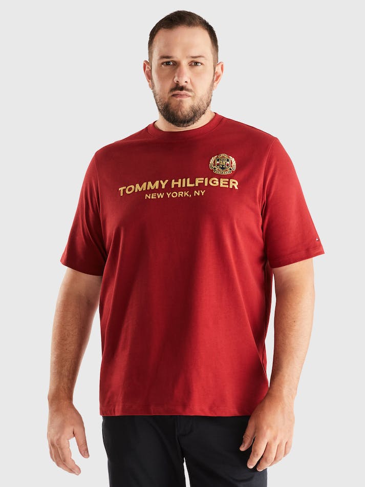 Tommy Hilfiger Icon Stack Crest Men's T Shirts Red | ykUajRoqSdjM